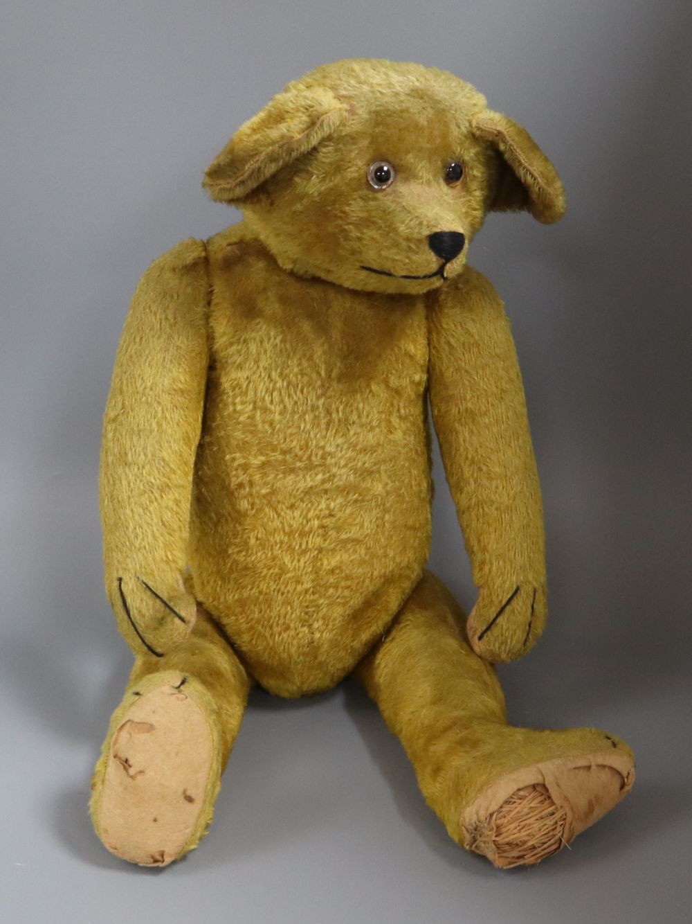 An early English teddy c.1920, 26in., short gold mohair, clear glass eyes, very large ears, foot pads have loss of felt